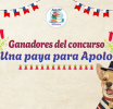 GANADORES CONCURSO DE PAYAS BIBLIOCRA