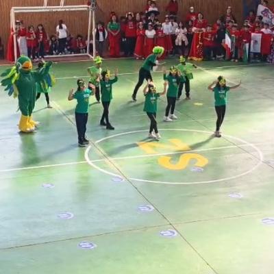 Brasil 1ciclo 6