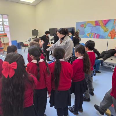 Teleton 3 Basico A 12