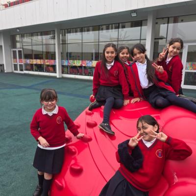 Teleton 3 Basico A 6