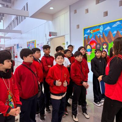 Teleton 6 Basico A 3