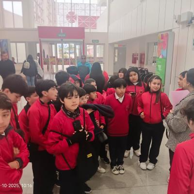 Teleton 6 Basico A 8