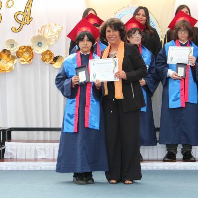 Licenciatura 8 Basico 2025 34