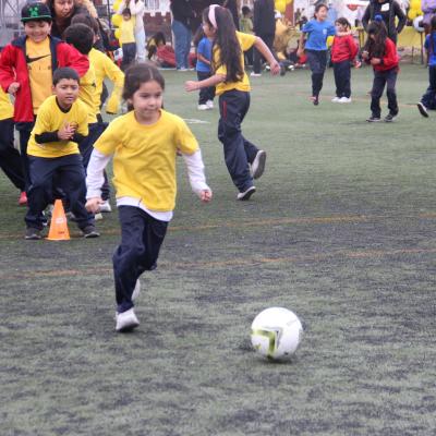 1 Ciclo Dia Actividad Fisica 34