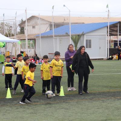 1 Ciclo Dia Actividad Fisica 35