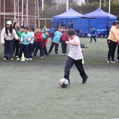 1 Ciclo Dia Actividad Fisica 44