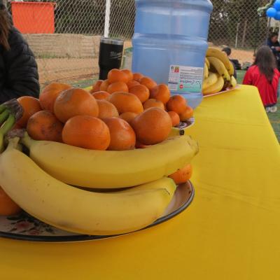 2 Ciclo Dia Actividad Fisica 7