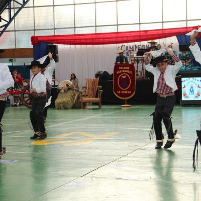 Presentaciones Intermedios 14